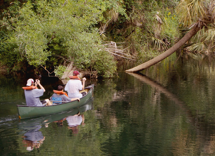 Paddling Canoe on Swamp Tours